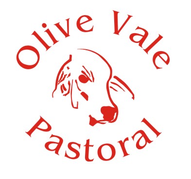 OLIVE VALE LOGO