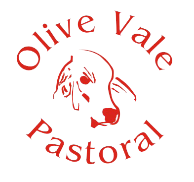 OLIVE VALE LOGO