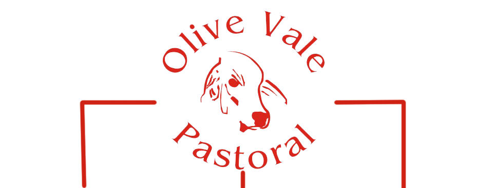 OLIVE VALE LOGO_transparent